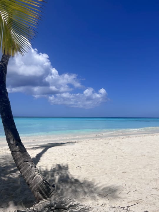 Strand Serenade Punta Cana Beach & Spa resort