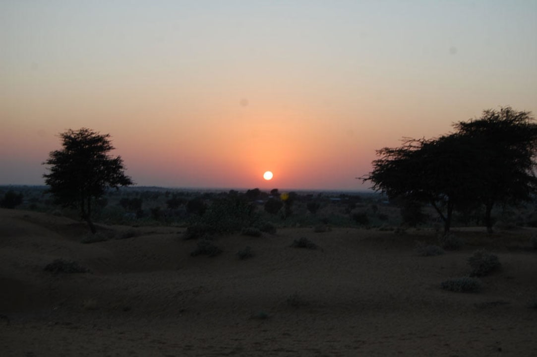 Evening on Dunes Royal Desert Safari Resort