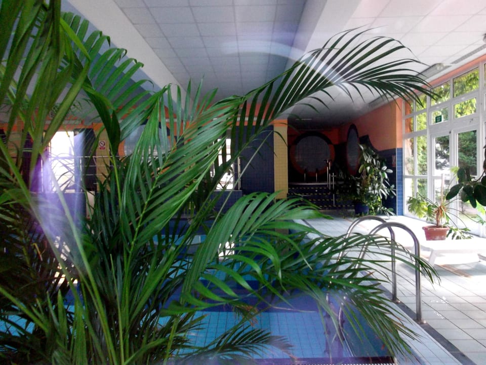 Schwimmbad Hotel NAT Kołobrzeg