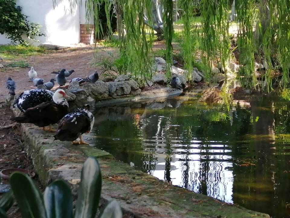 Gartenanlage Aldiana Club Rocca Nettuno Calabria