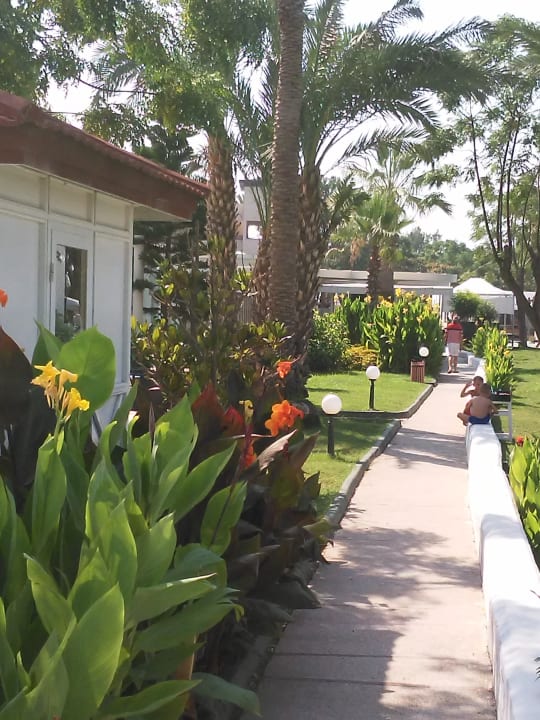 Gartenanlage Labranda Alantur Resort