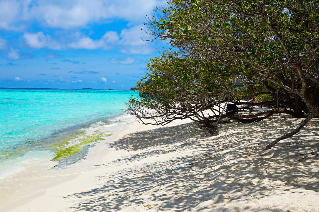 Strand Summer Island Maldives