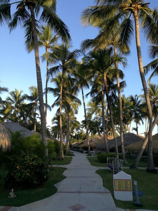 Gartenanlage Hotel Viva Dominicus Beach by Wyndham - All Inclusive Resort