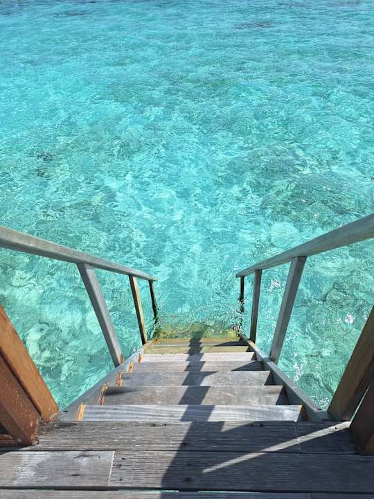 Zimmer Safari Island Maldives