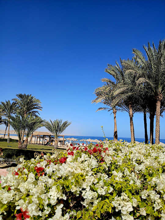Gartenanlage Radisson Blu Resort, El Quseir