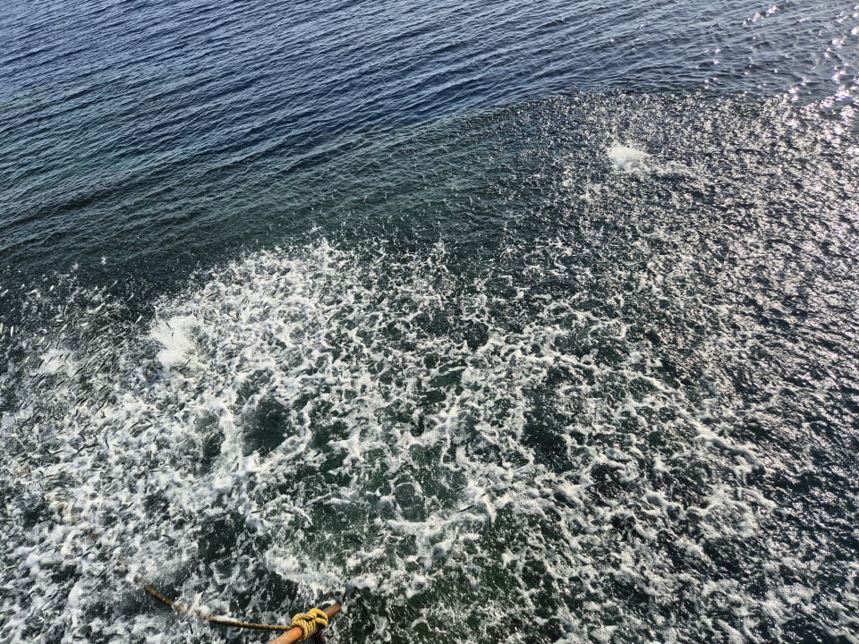 Strand Three Corners Happy Life Beach Resort