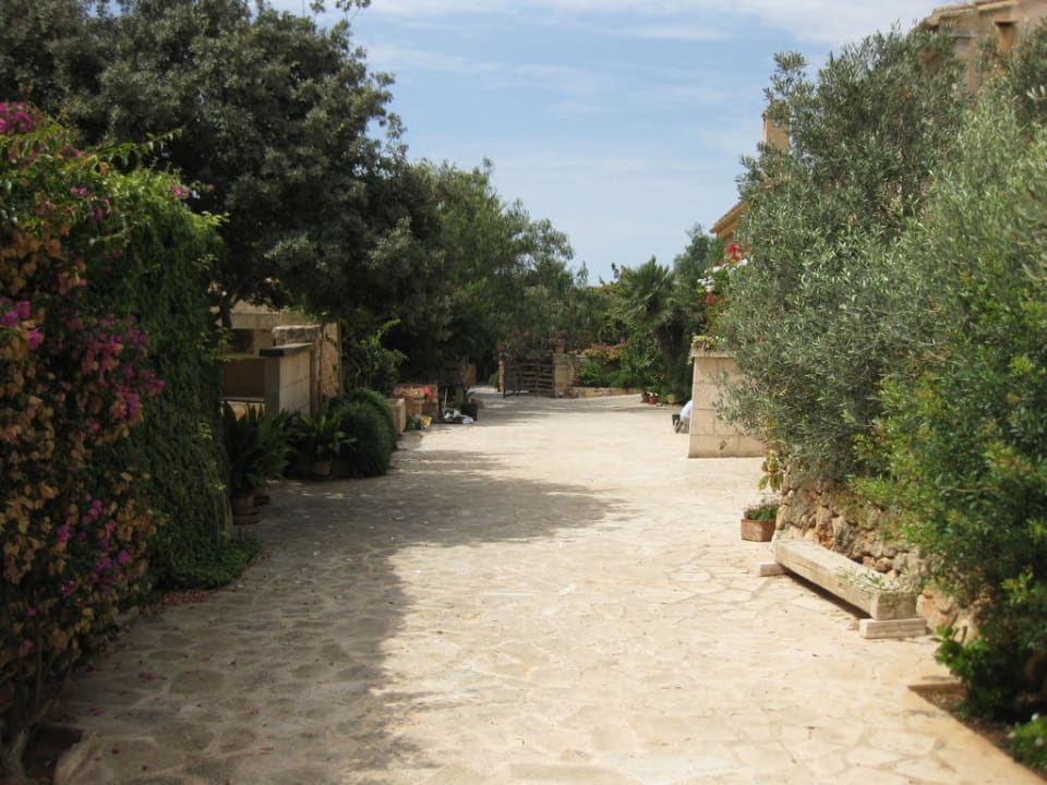 Blick vom Garten Richtung Eingang Finca Sa Carrotja - Adults only