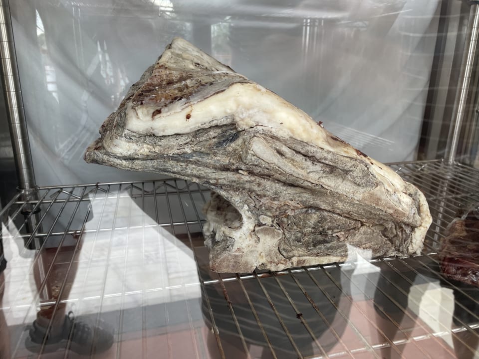 Gastro Hotel Pine Bay Holiday Resort