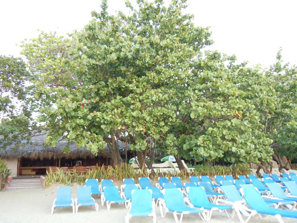 Der beste Platz ist immer im Schatten Sunscape Puerto Plata