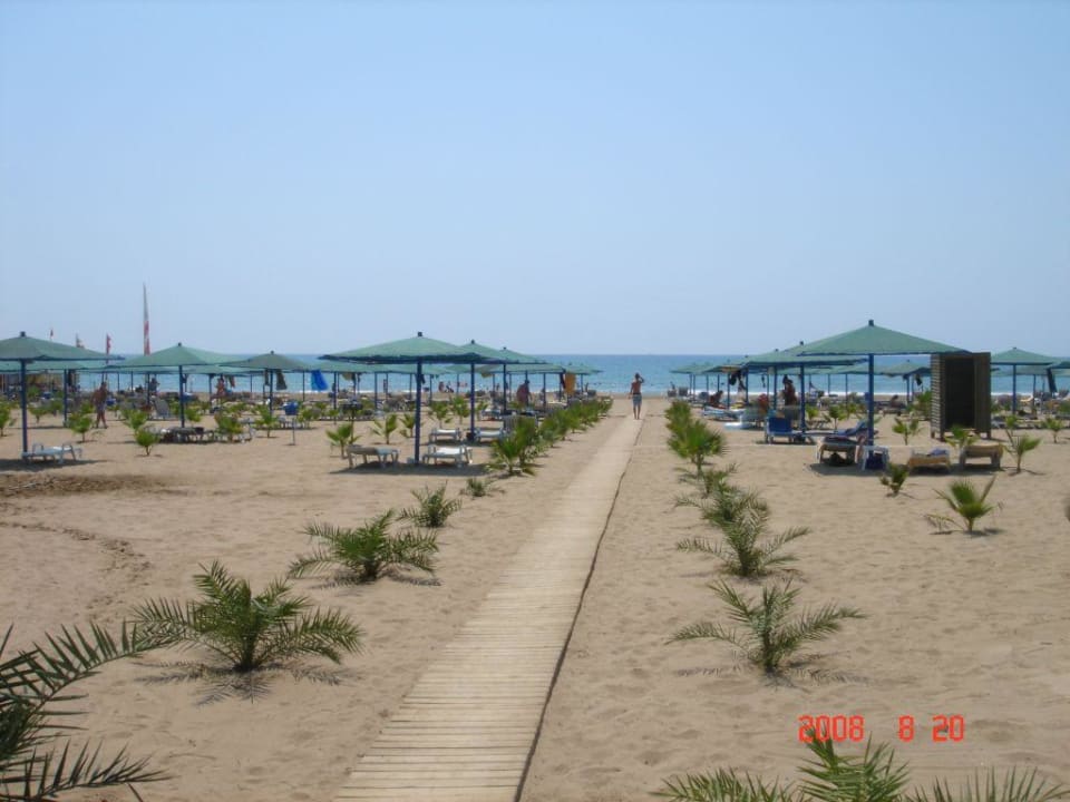 Weg zum Strand Paloma Oceana