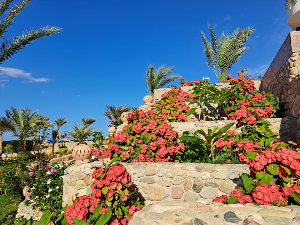 Außenansicht Coral Sun Beach
