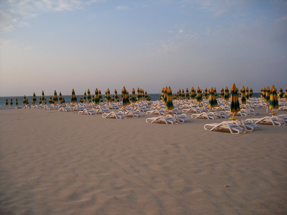 Eigener Strand vom Hotel mit Liegen & Schirm  Flamingo Grand Hotel & Spa