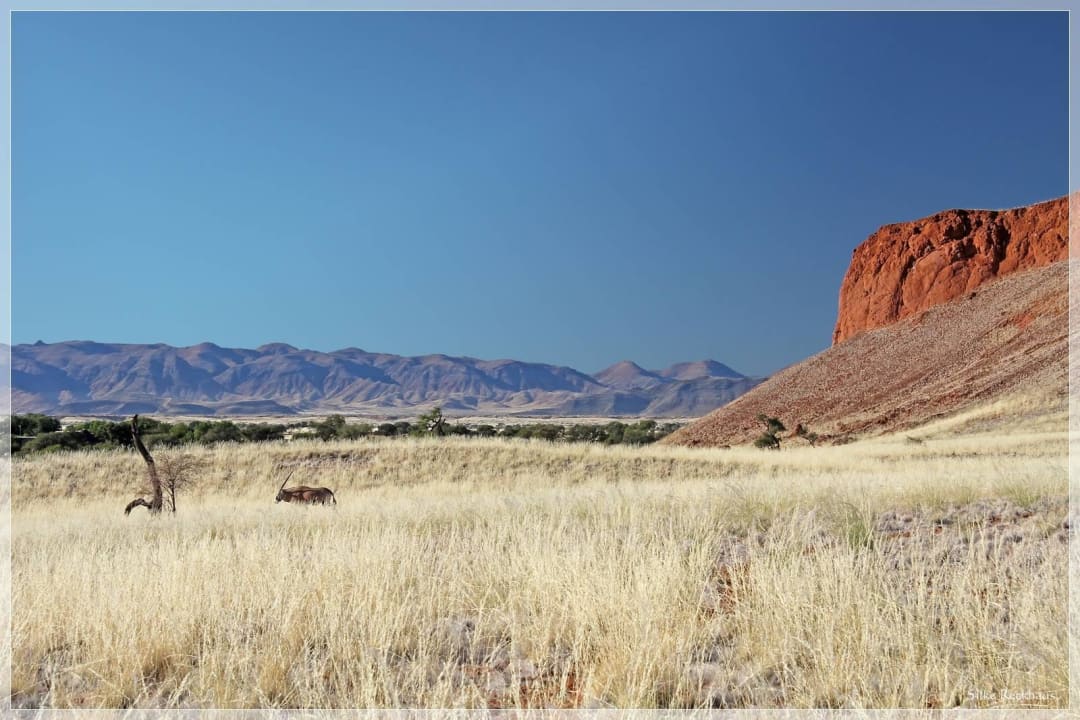 Umgebung  Namib Desert Lodge