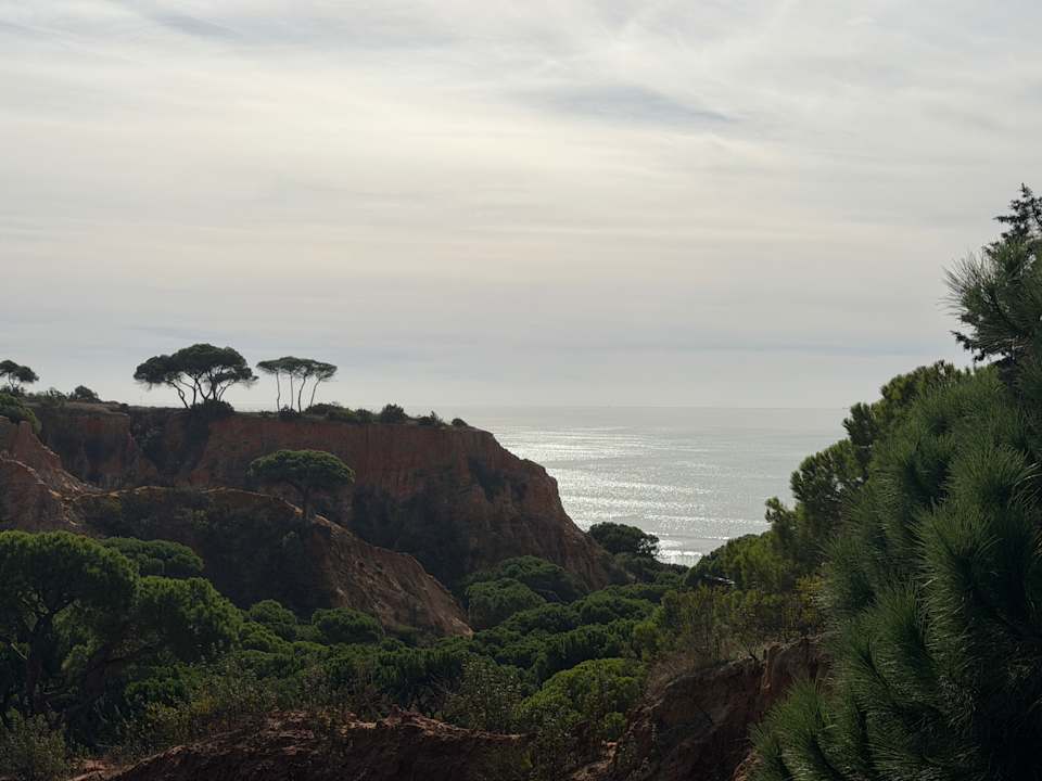 Ausblick PortoBay Falésia