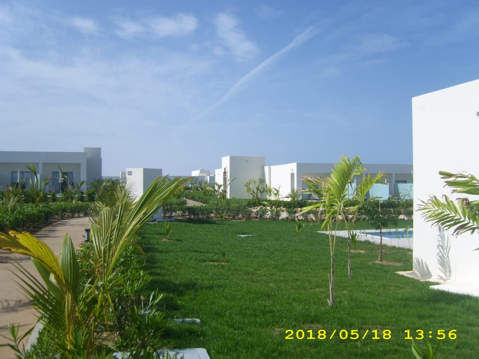 Gartenanlage Hotel Riu Palace Boavista