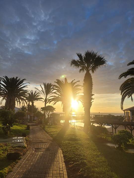 Gartenanlage TUI MAGIC LIFE Fuerteventura