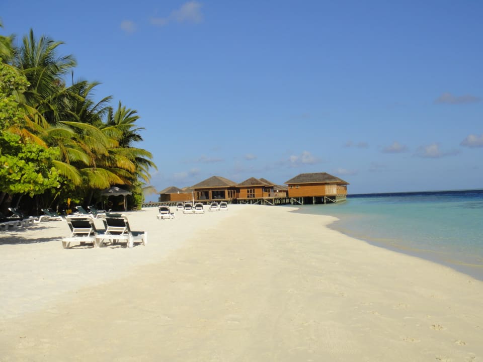 Sicht auf die Wasserbungis Vilamendhoo Island Resort & Spa