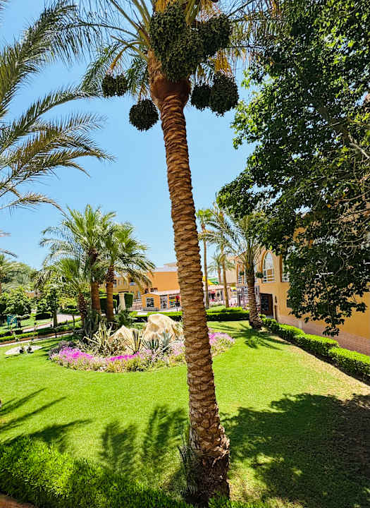 Gartenanlage Golden Beach Resort