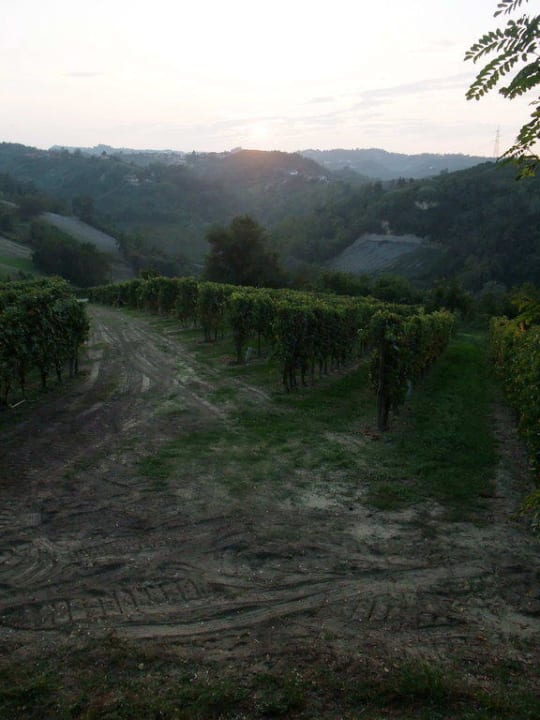 Anlage Agriturismo Villa Tiboldi