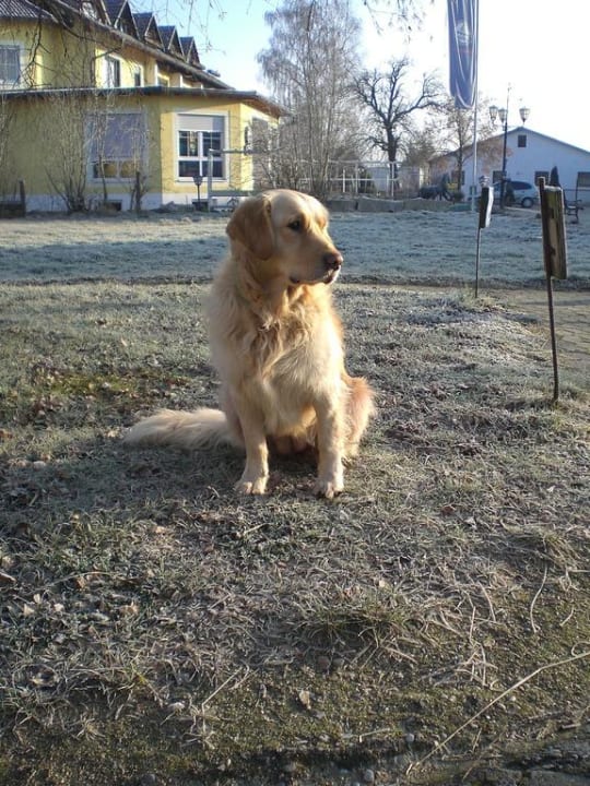Hotel Reiterhof Altmühlsee Hotel Reiterhof Altmühlsee