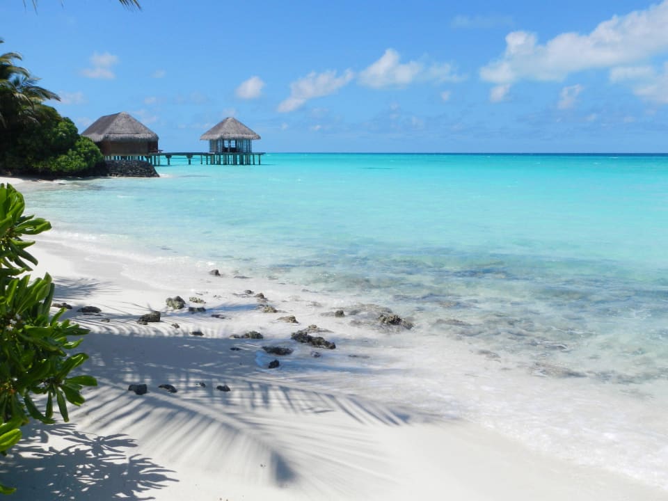 Traumstrand braucht keine Worte  Kuramathi Maldives