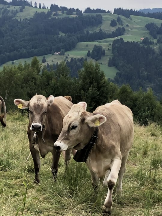 Sonstiges Ferienhof Baldauf