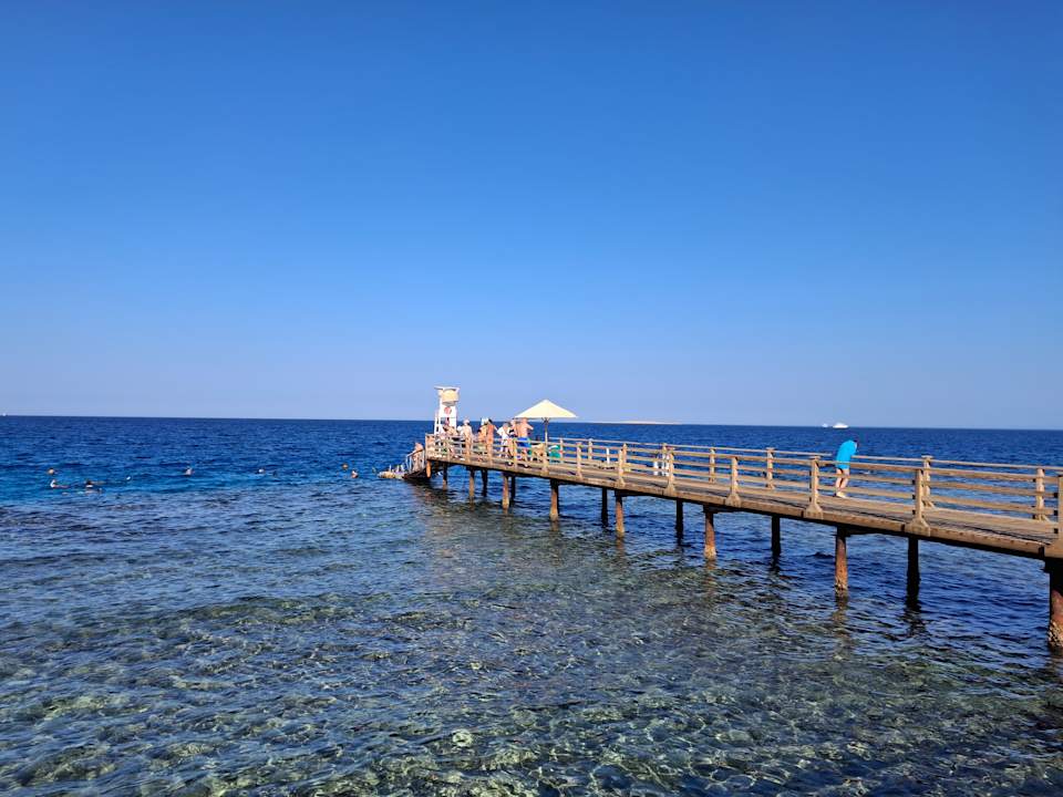 Strand JAZ Elite Asteria