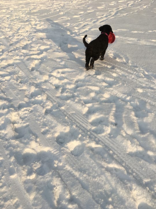 Außenansicht Gut Wenghof - Family Resort
