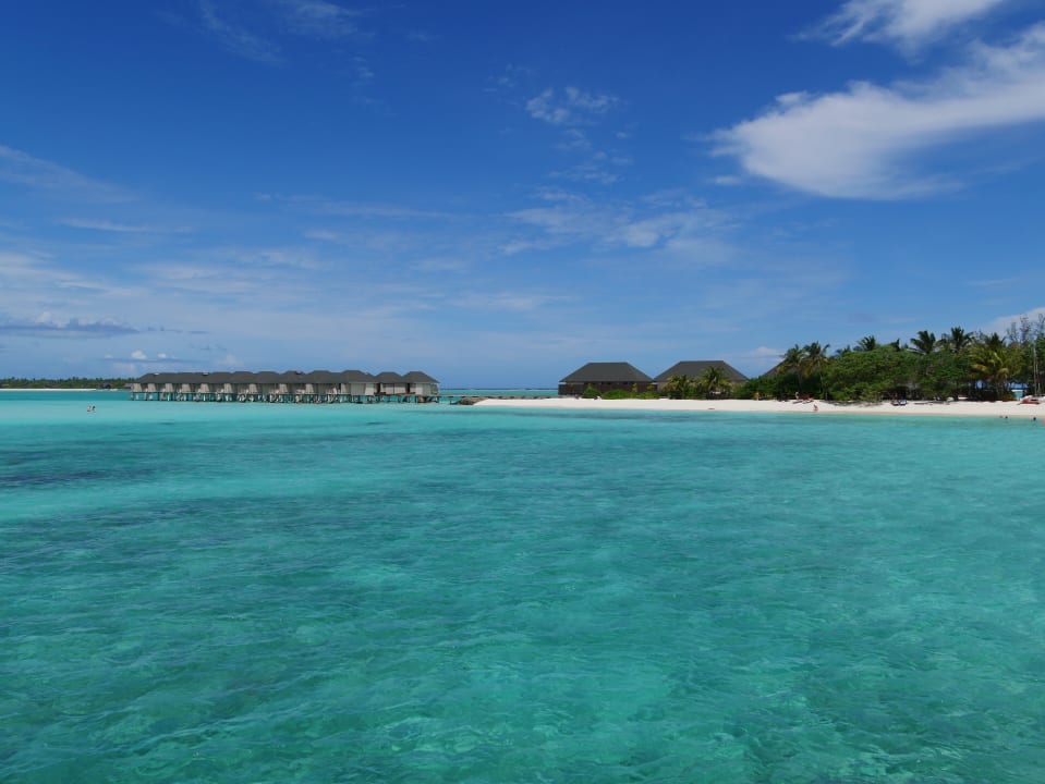 Strand Summer Island Maldives