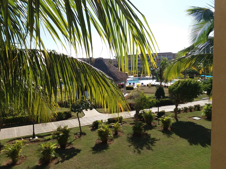 Ausblick Iberostar Origin Laguna Azul