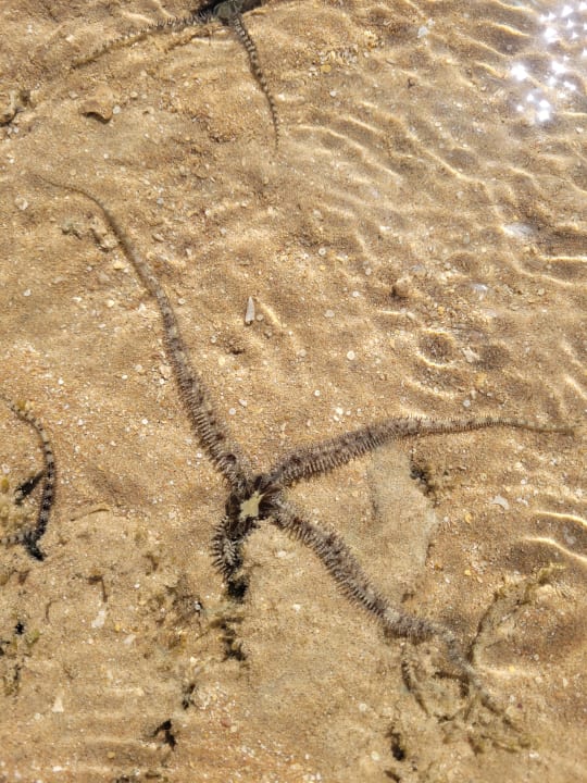 Strand JAZ Belvedere Resort