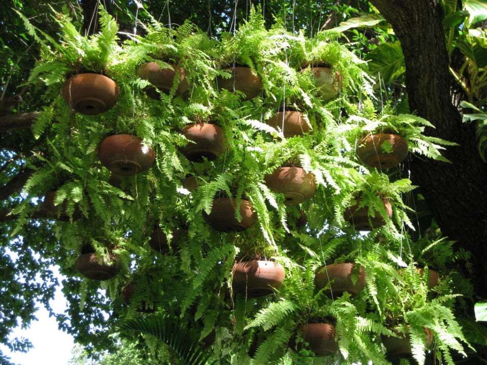 Schöne Gartenanlage Laksasubha Hua Hin