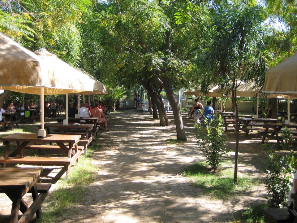 Schattige Mittagspause im Grünen Seaden Sea World Resort & Spa