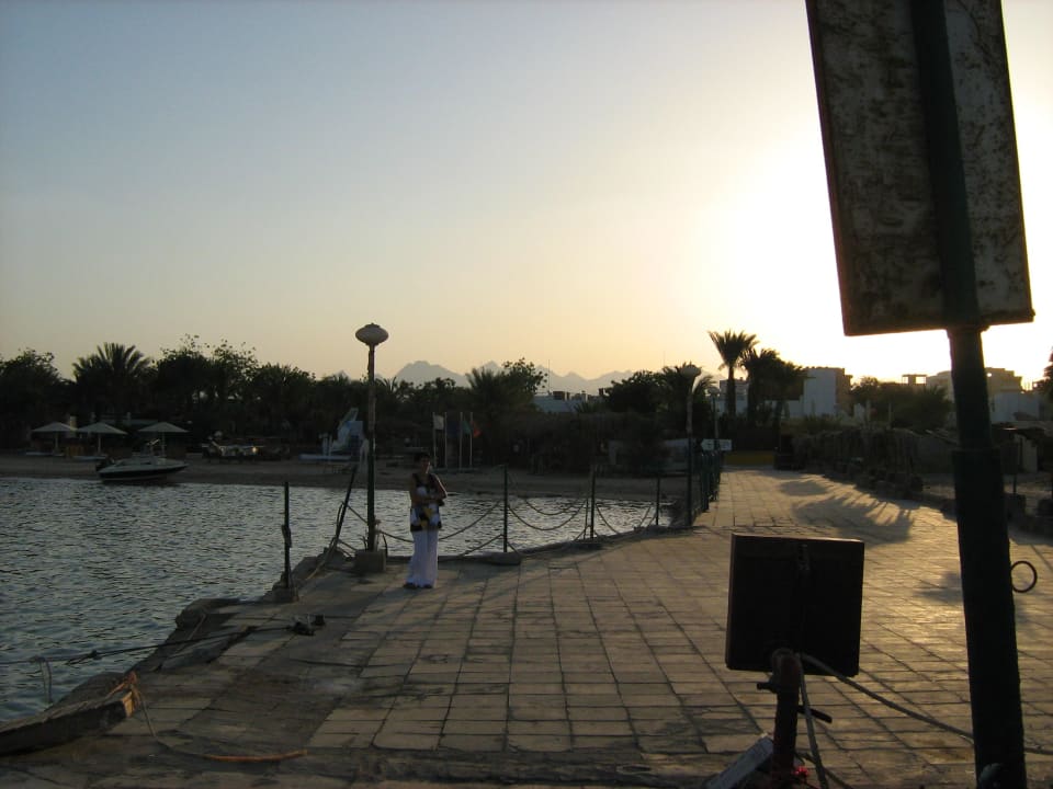 Molo Menaville Safaga