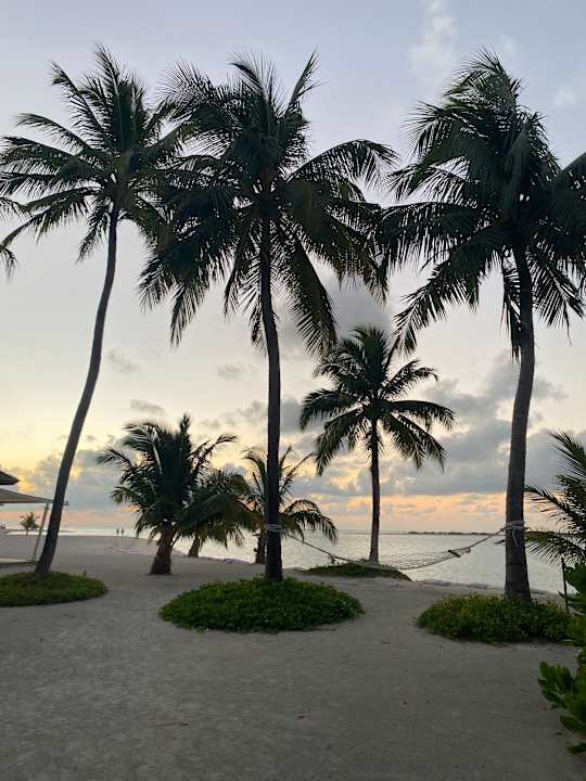 Gartenanlage Cinnamon Hakuraa Huraa Maldives