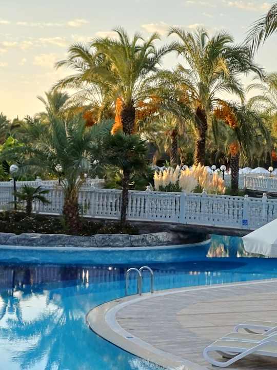 Pool Royal Wings Hotel