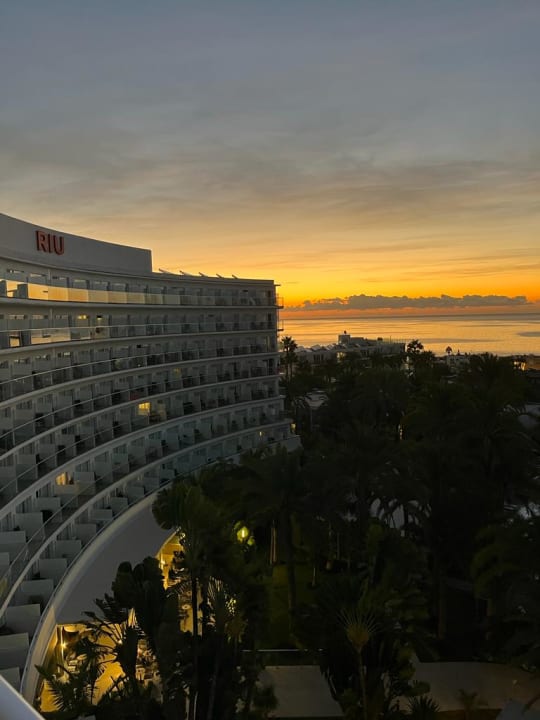 Ausblick Hotel Riu Palace Palmeras