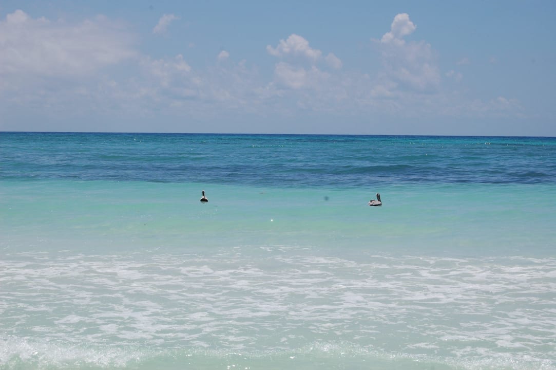 Strand Grand Palladium Kantenah Resort & Spa