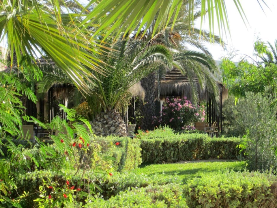 Grüne Lunge Iberostar Waves Mehari Djerba