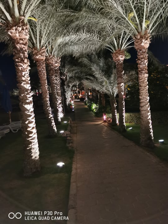 Gartenanlage Fort Arabesque Resort, Spa & Villas