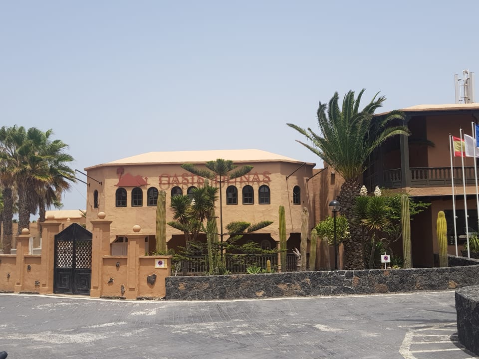 Zimmer Hotel Oasis Dunas