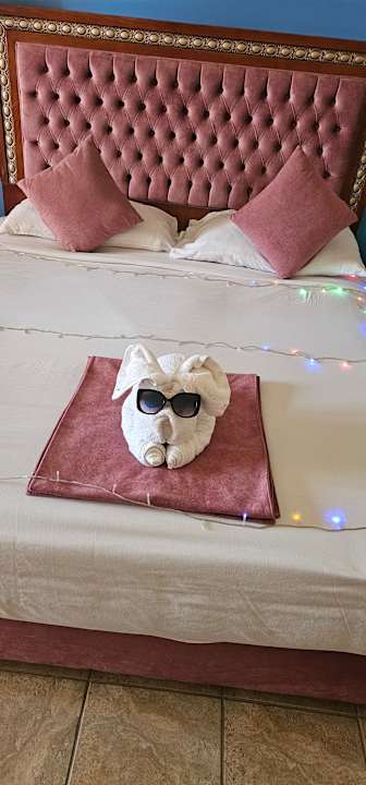 Zimmer Parrotel Aqua Park Resort