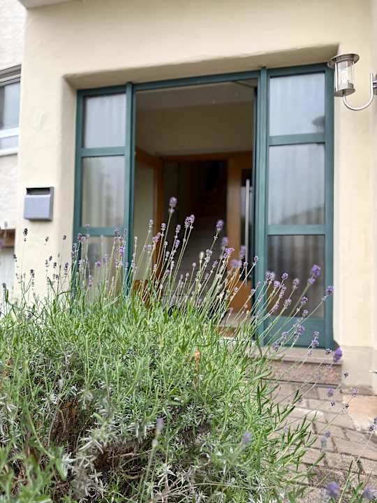 Außenansicht Hotel Weinhaus Paradies