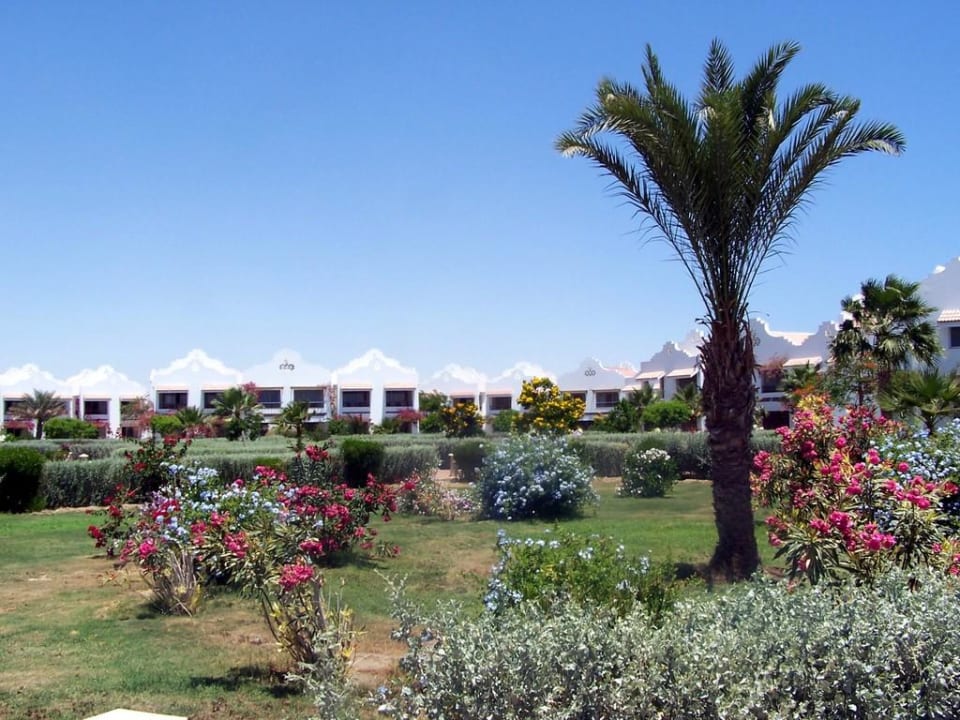 Tolle Grünanlage Lahami Bay Beach Resort