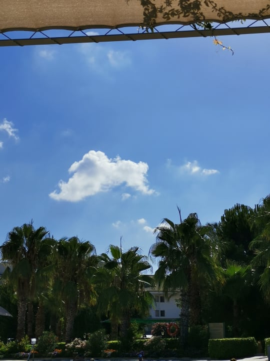 Gartenanlage Side Breeze Hotel