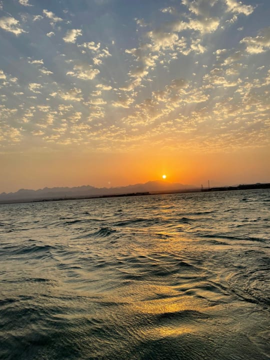 Ausblick Palm Royale Resort - Soma Bay