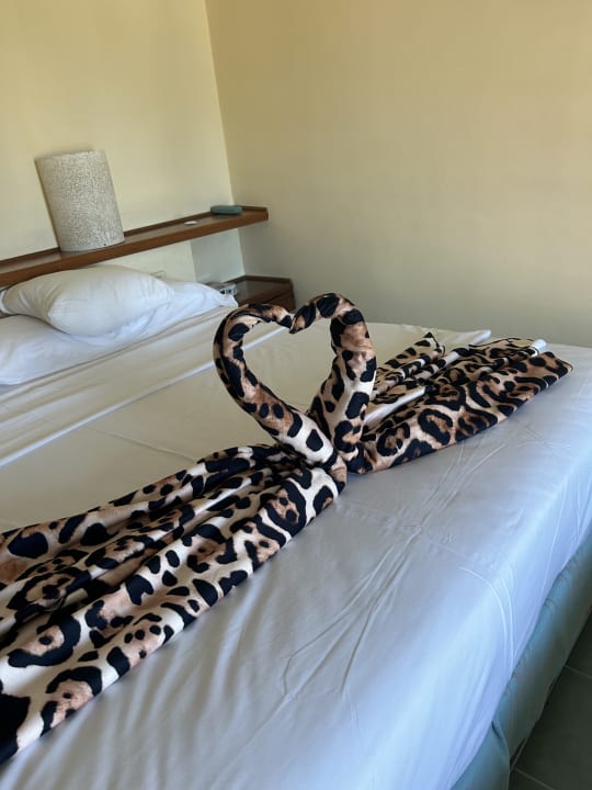 Zimmer Melia Las Antillas - Adults only