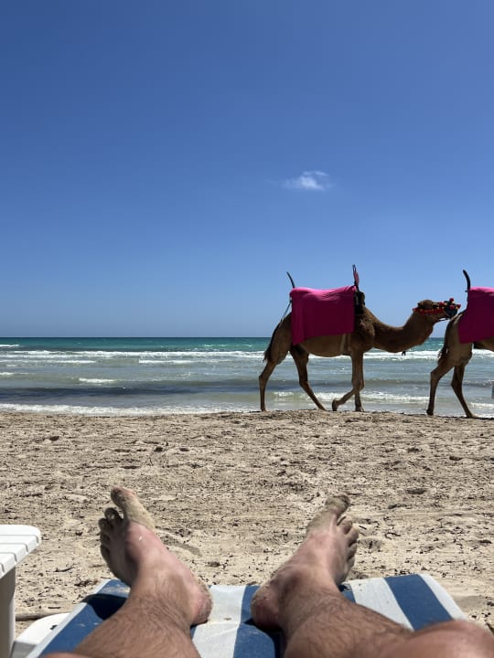 Strand ROBINSON DJERBA BAHIYA