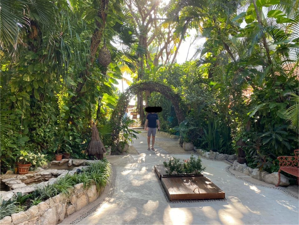 Gartenanlage Hotel Colibri Beach