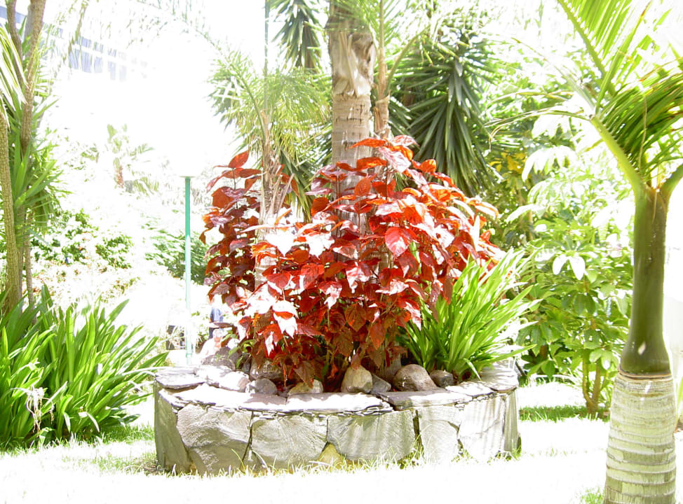 Hotel Lucana allsun Hotel Lucana